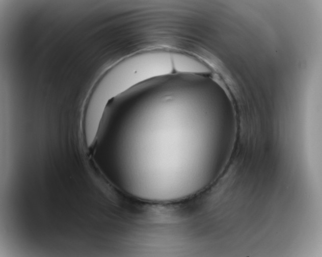 X0000089721234200707201814