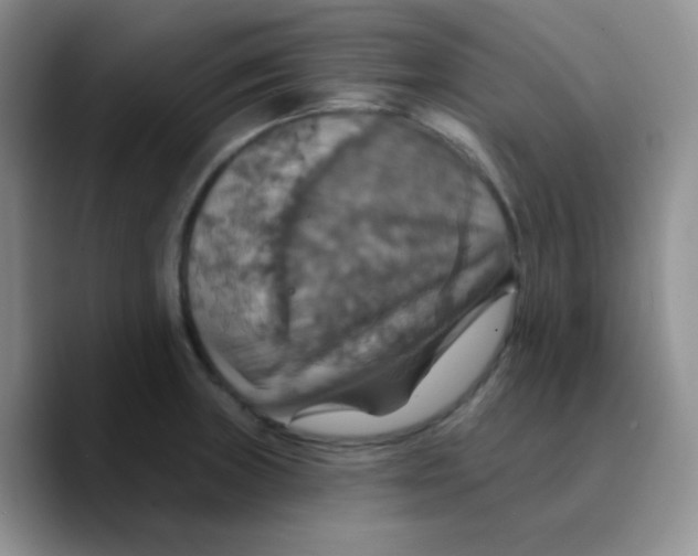 X0000089721235200707201814