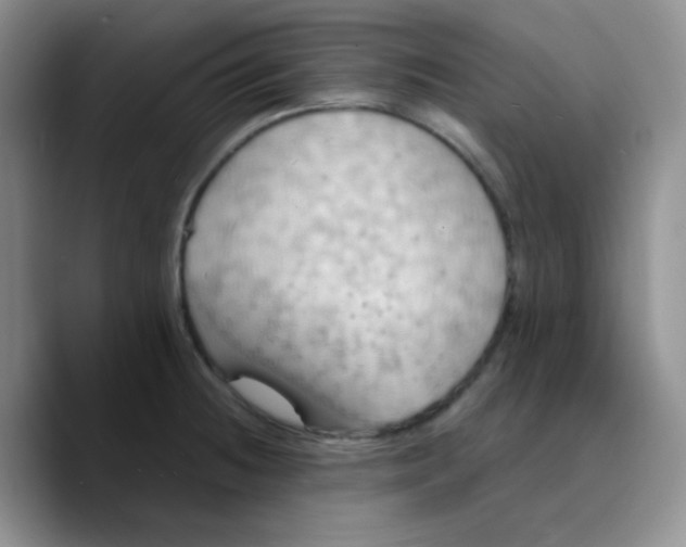 X0000089721236200707201814