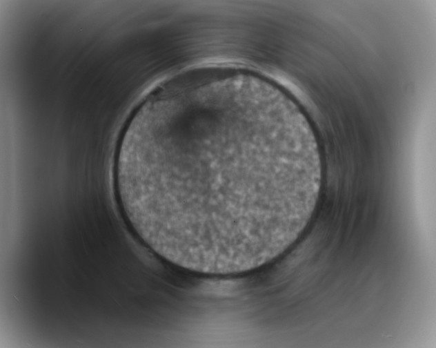 X0000089721237200707201814
