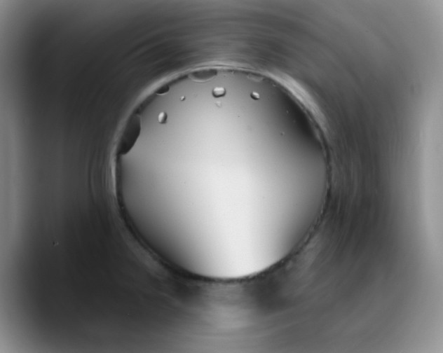 X0000089721238200707201814