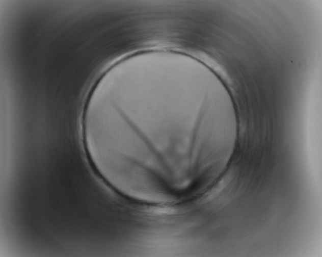 X0000089721239200707201814