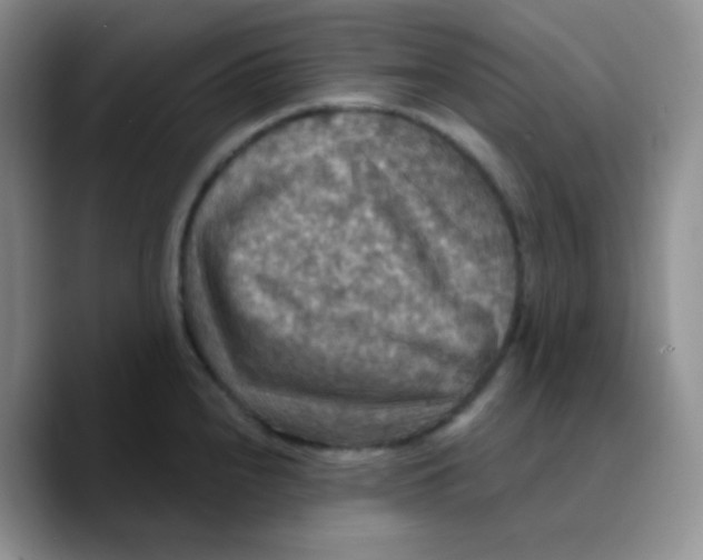 X0000089721240200707201814