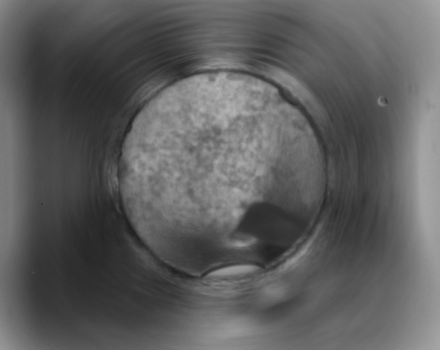 X0000089721241200707201814