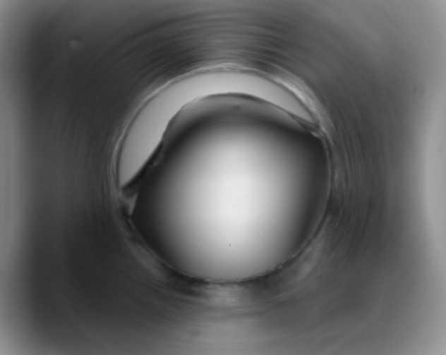 X0000089721242200707201814