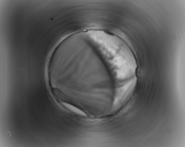 X0000089721243200707201814