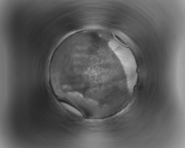 X0000089721244200707201814
