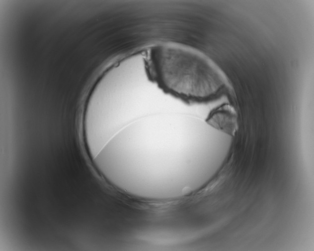 X0000089721245200707201814