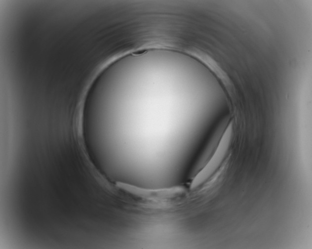 X0000089721246200707201814