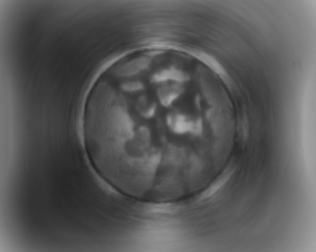 X0000089721247200707201814