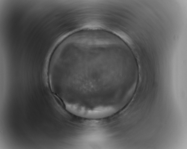 X0000089721248200707201814