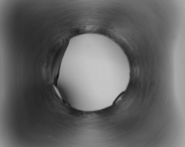 X0000089721250200707201814