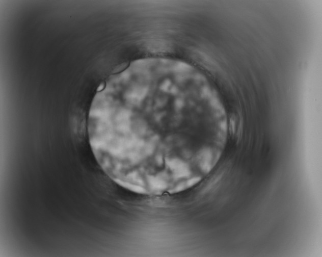 X0000089721251200707201814
