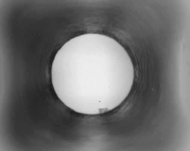 X0000089721252200707201814