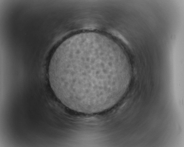 X0000089721256200707201813