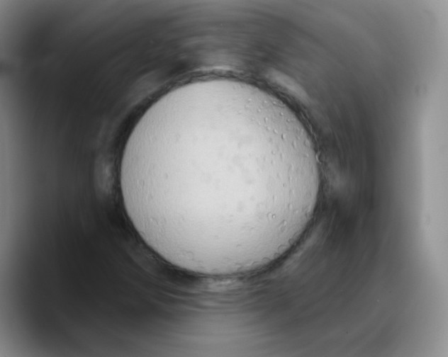 X0000089721258200707201813