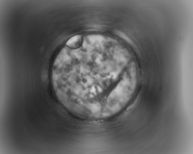 X0000089721259200707201813