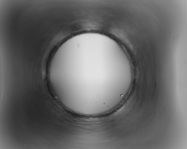 X0000089721261200707201813