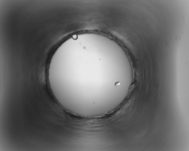 X0000089721262200707201813