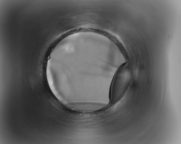 X0000089721263200707201813
