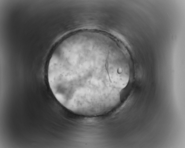 X0000089721264200707201813