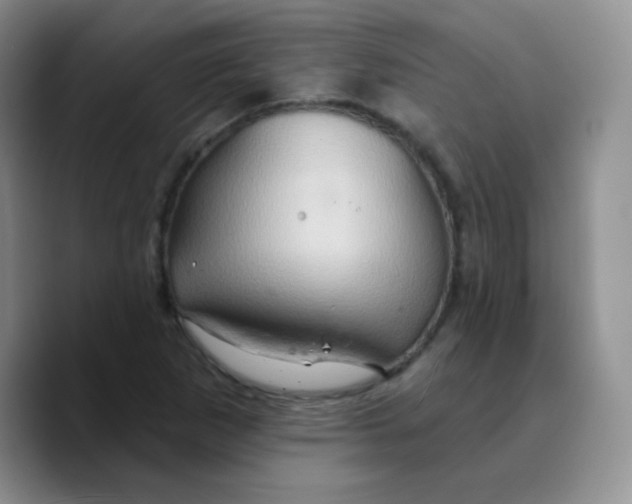 X0000089721265200707201813