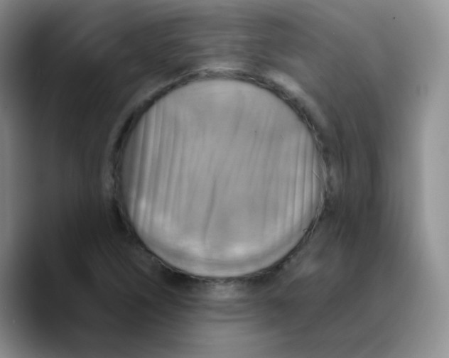 X0000089721266200707201813