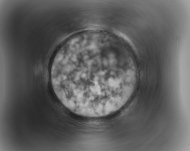 X0000089721267200707201813