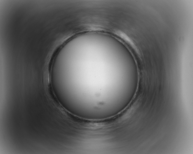 X0000089721269200707201813