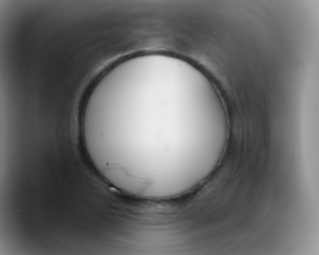 X0000089721270200707201813