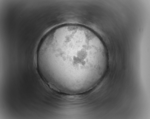 X0000089721272200707201813