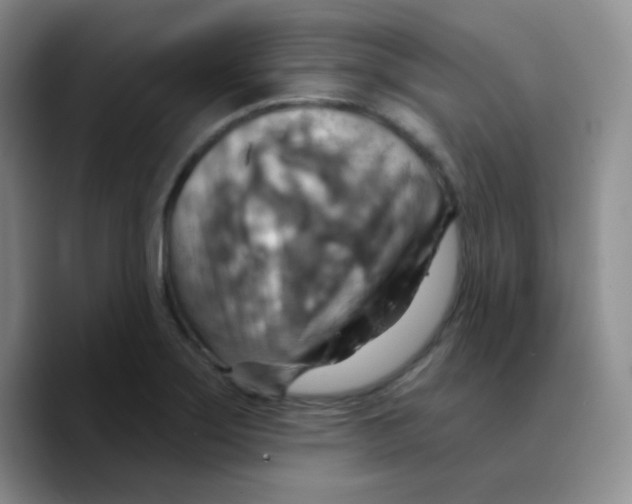 X0000089721275200707201813