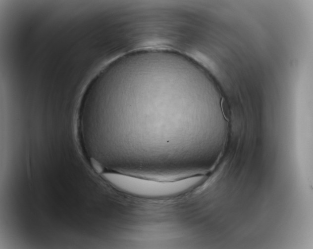 X0000089721277200707201813