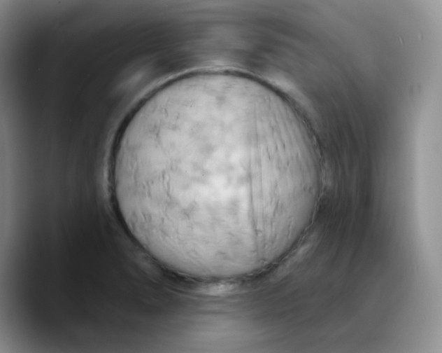 X0000089721278200707201813