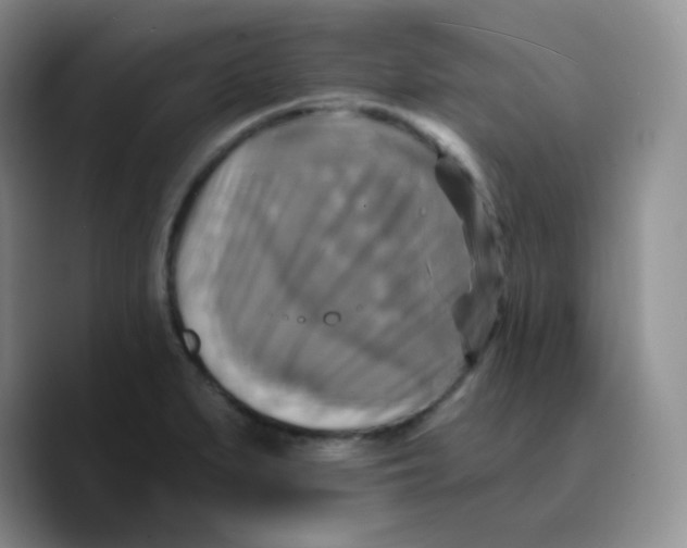 X0000089721279200707201813