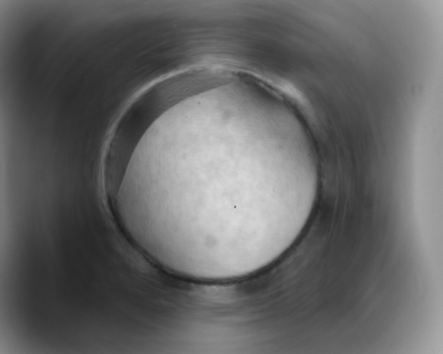 X0000089721280200707201813
