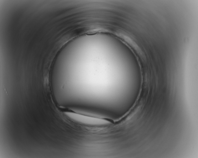 X0000089721281200707201813