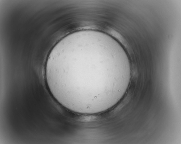 X0000089721282200707201813