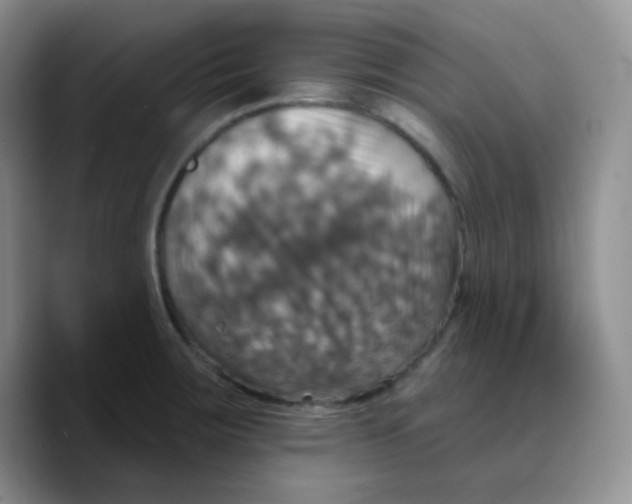 X0000089721283200707201813