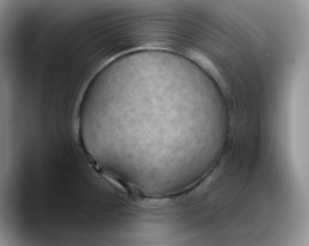 X0000089721284200707201813