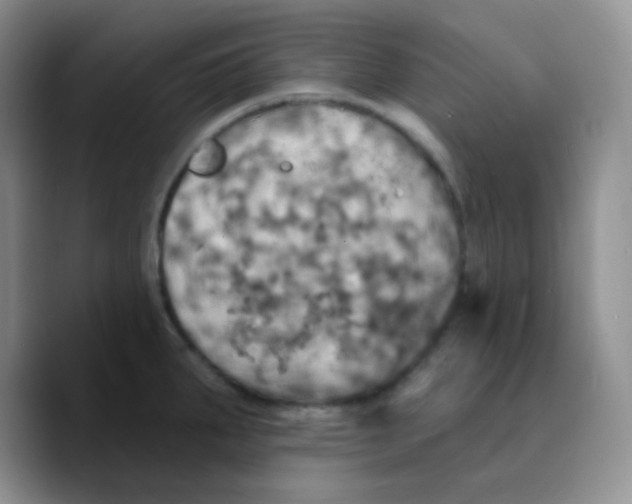 X0000089721287200707201813