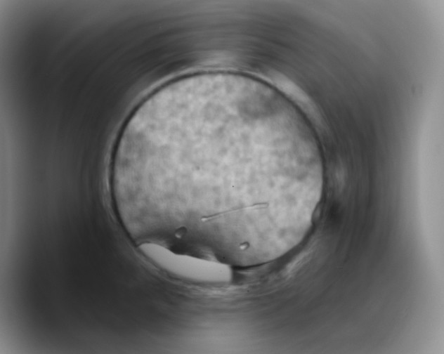 X0000089721288200707201813