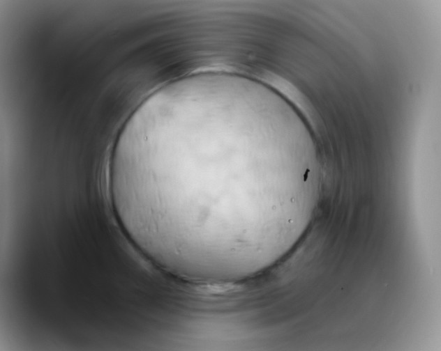 X0000089721290200707201813