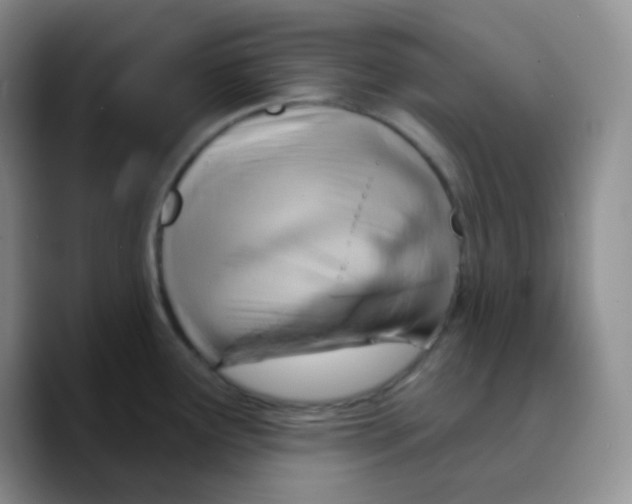 X0000089721291200707201813