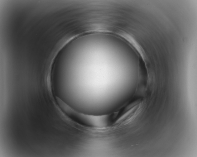X0000089721293200707201813