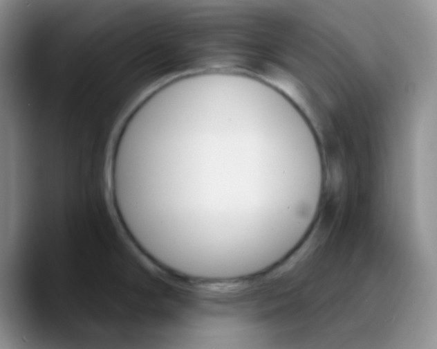X0000089721294200707201813