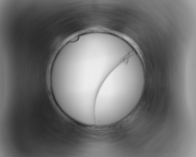 X0000089721295200707201813