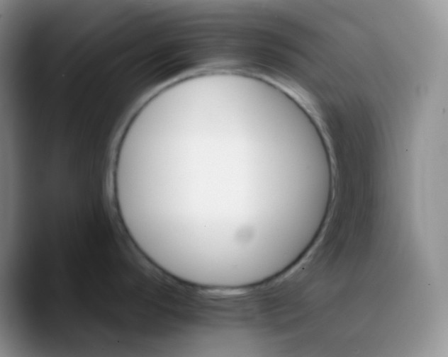 X0000089721296200707201813