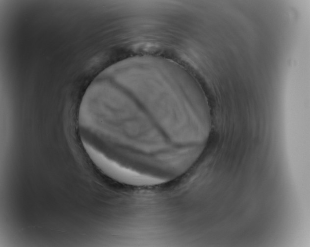 X0000089721297200707201812