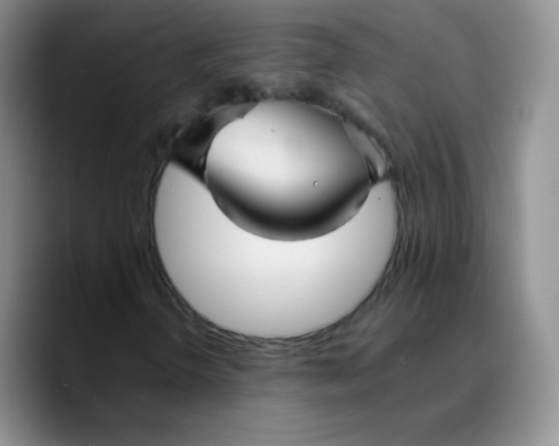 X0000089721298200707201812